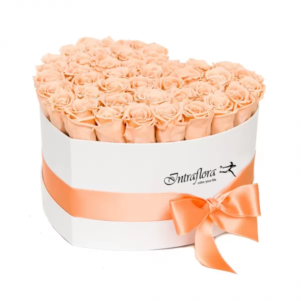 Peach Rose Aphrodite - White Box