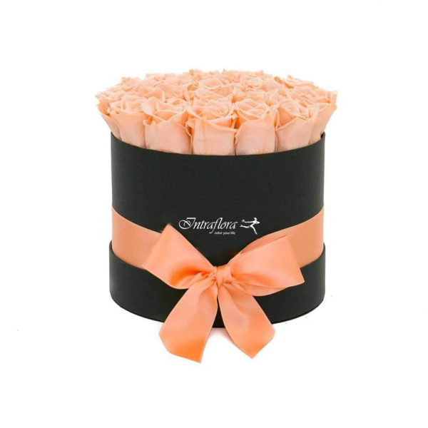 A black, cylindrical box filled with peach roses, wrapped with a peach ribbon and bow, against a white background. The box also features the "Intraflora" logo.