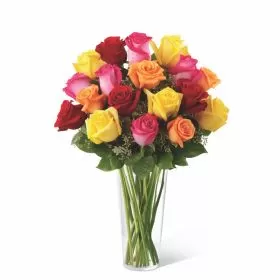 Spark Blooms