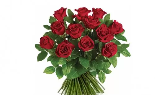 Dozen Red Roses